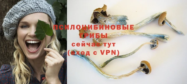 ALPHA PVP Армянск