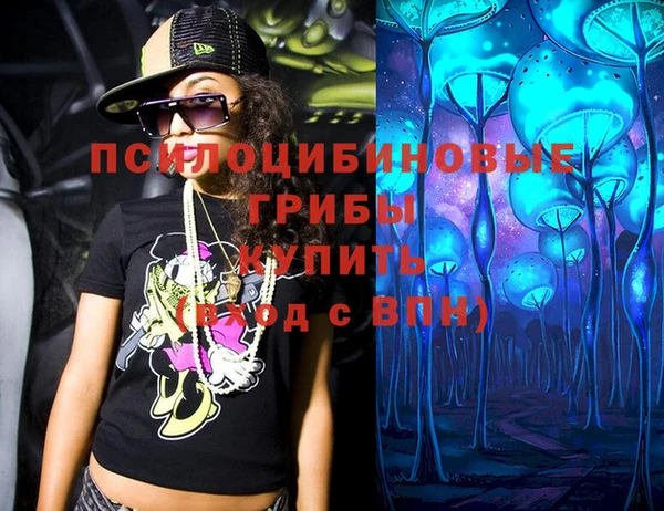 прущий лед Аркадак