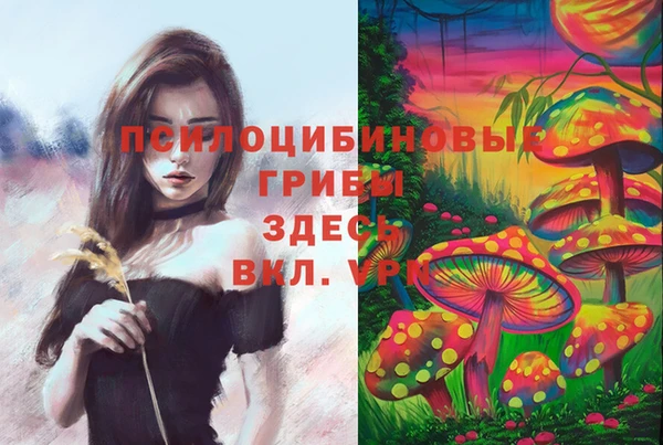 прущий лед Аркадак